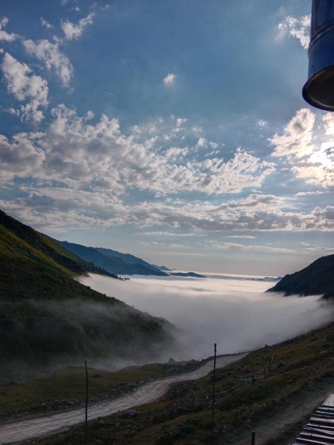 Avusor Mola Cafe Ve PansiyonÇamlıhemşin エクステリア 写真